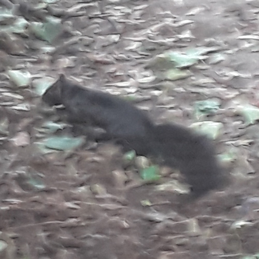 Meet your Posher, Larry